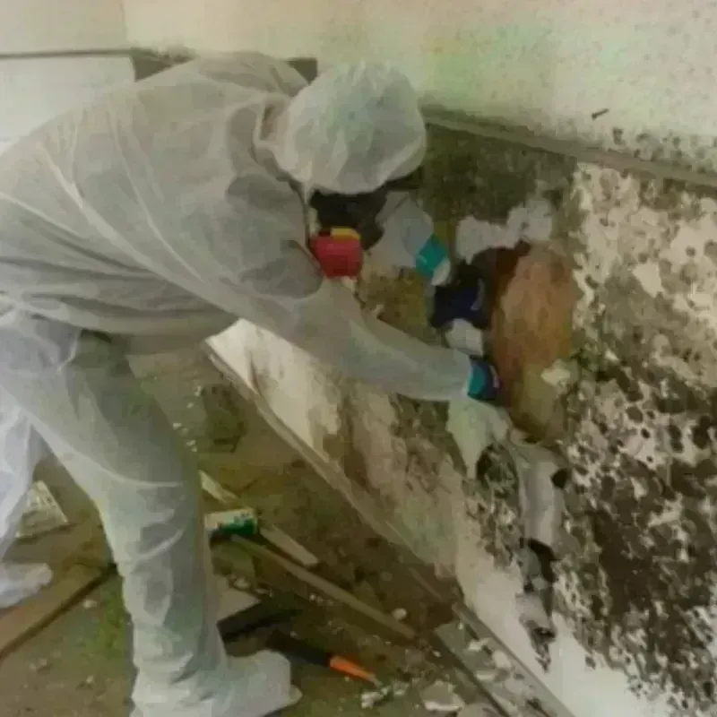 Mold Remediation and Removal in Lakeside, VA