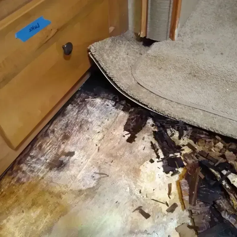 Wood Floor Water Damage in Lakeside, VA